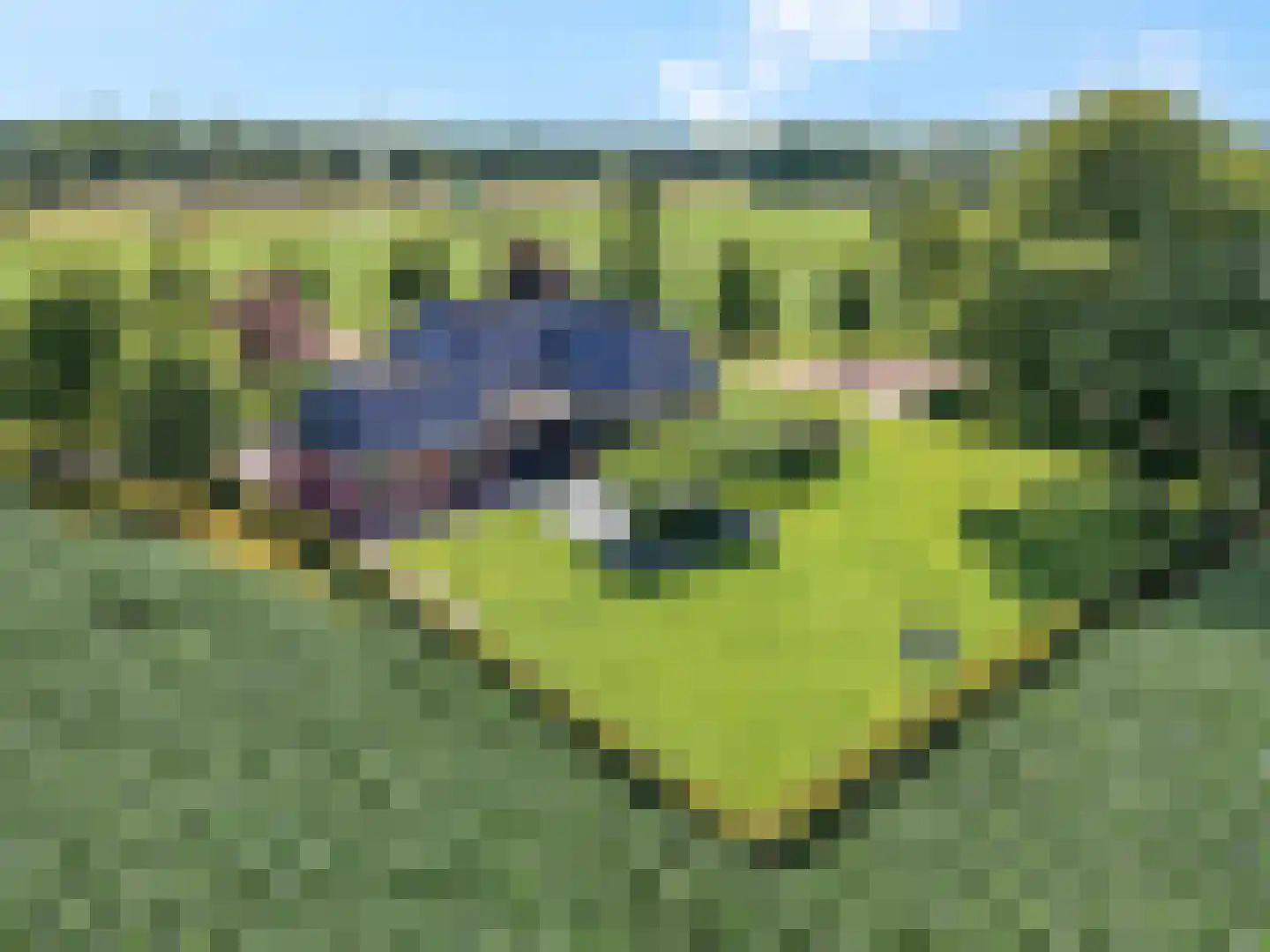 Otelaarseweg 25 Barneveld thumbnail 37