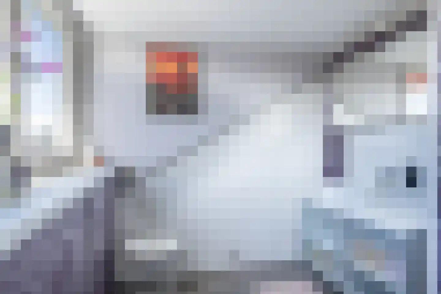 Otello 14 Kampen thumbnail 36