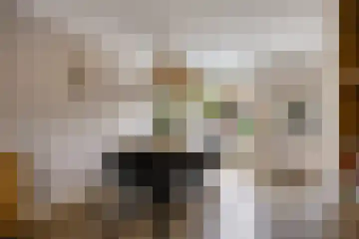 Otello 17 Kampen thumbnail 20