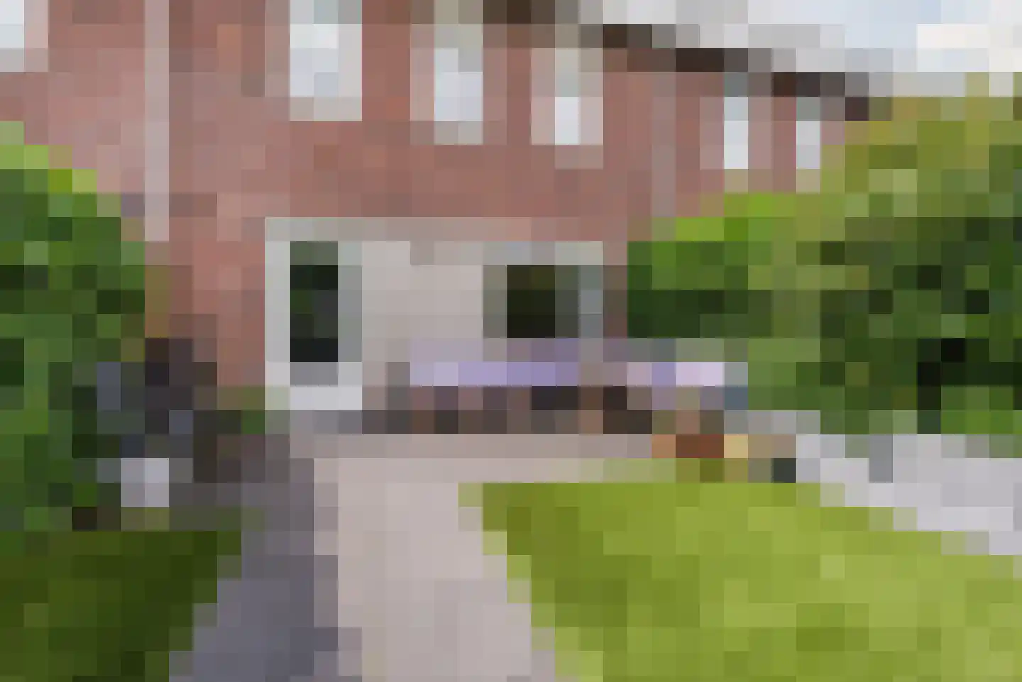 Otello 19 Kampen thumbnail 41