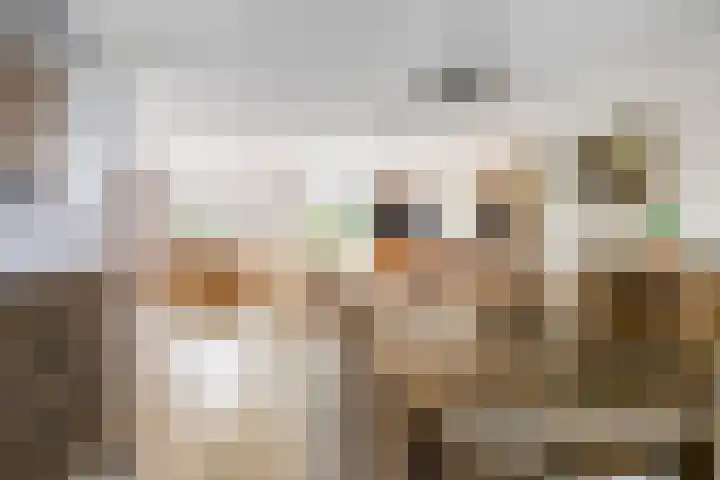Otello 2 Eindhoven thumbnail 12