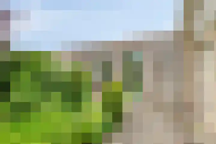 Otello 2 Eindhoven thumbnail 31