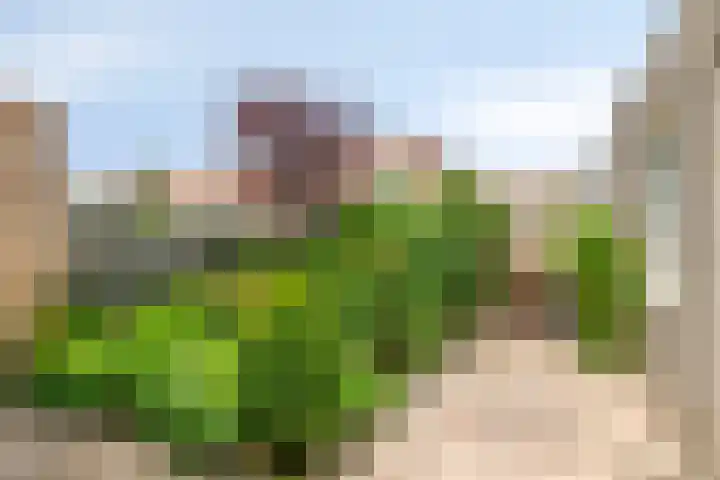 Otello 2 Eindhoven thumbnail 34