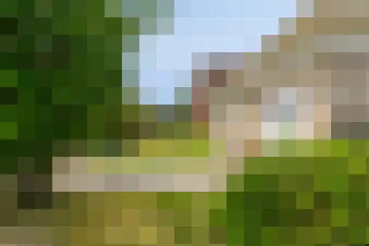 Otello 2 Eindhoven thumbnail 36