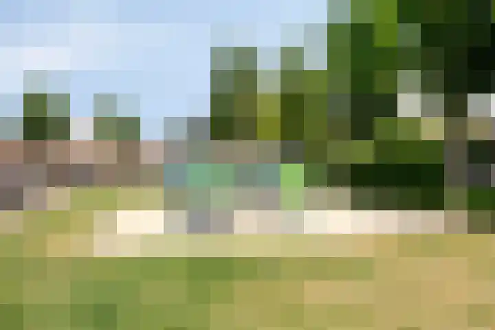 Otello 2 Eindhoven thumbnail 38