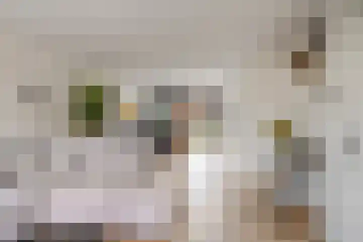 Otello 2 Kampen thumbnail 10