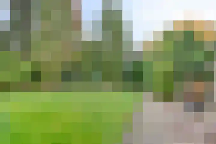 Otello 2 Kampen thumbnail 34