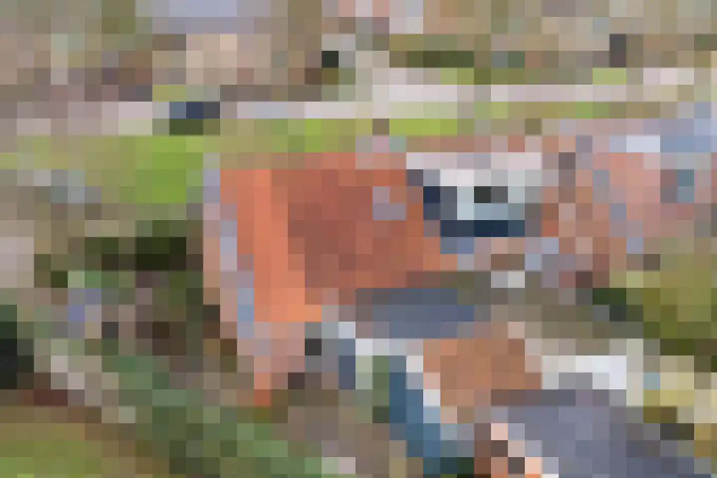 Otello 2 Kampen thumbnail 50