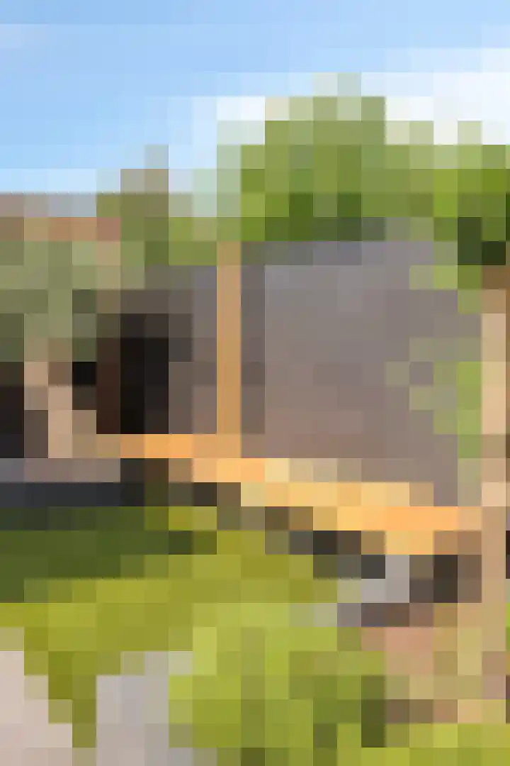 Otello 2 Kampen thumbnail 51