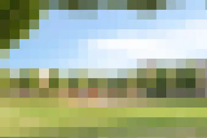 Otello 2 Kampen thumbnail 61