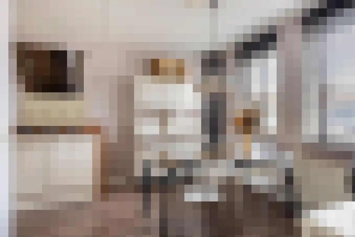 Otello 25 Eindhoven thumbnail 20