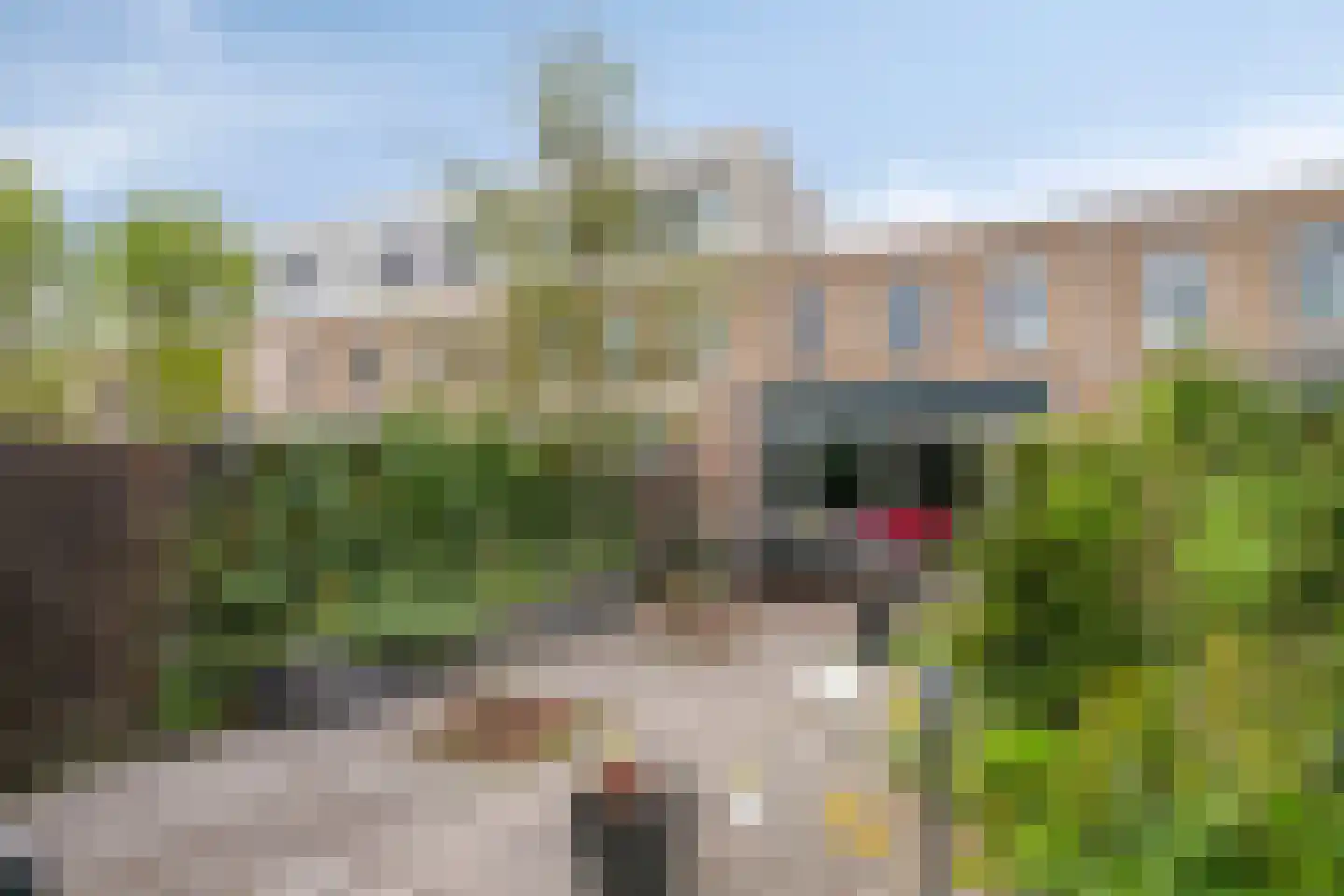 Otello 33 Eindhoven thumbnail 29