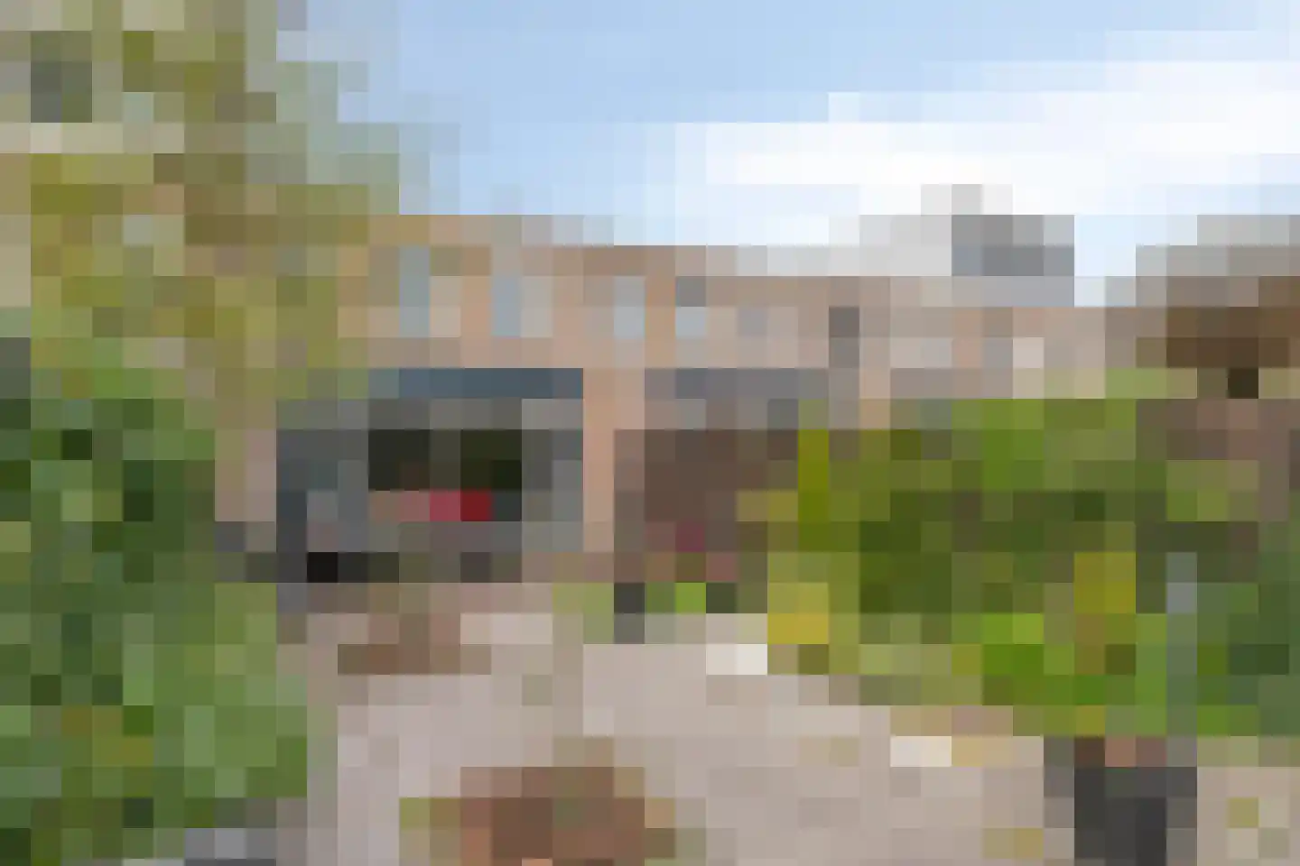 Otello 33 Eindhoven thumbnail 30
