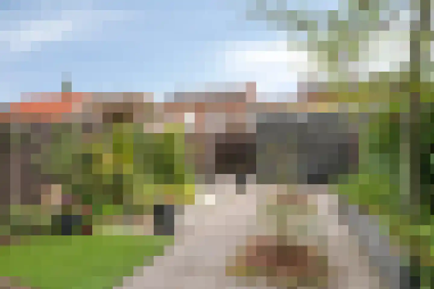 Otello 33 Eindhoven thumbnail 34