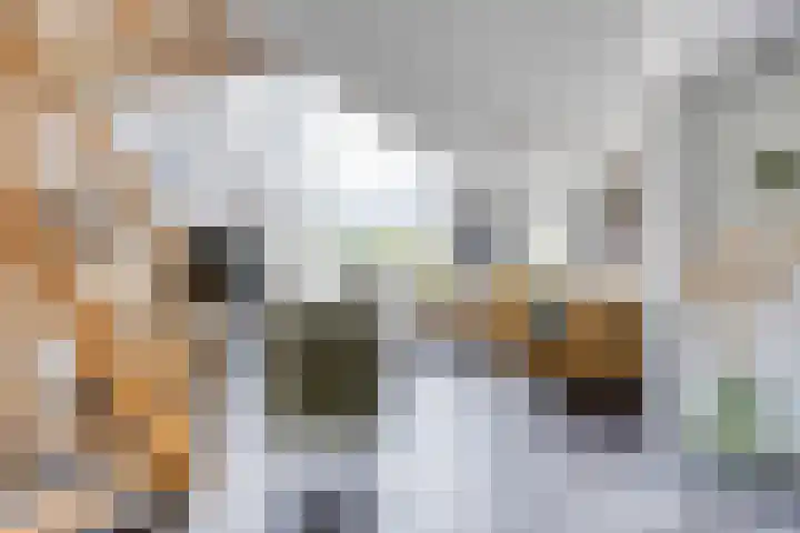 Otello 47 Kampen thumbnail 12