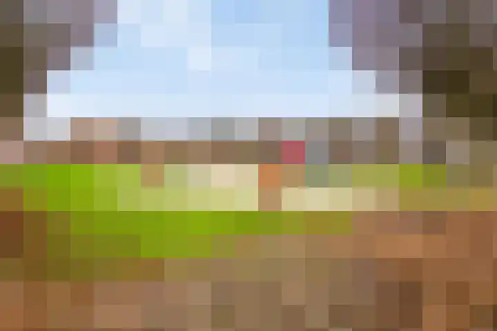 Otello 47 Kampen thumbnail 40