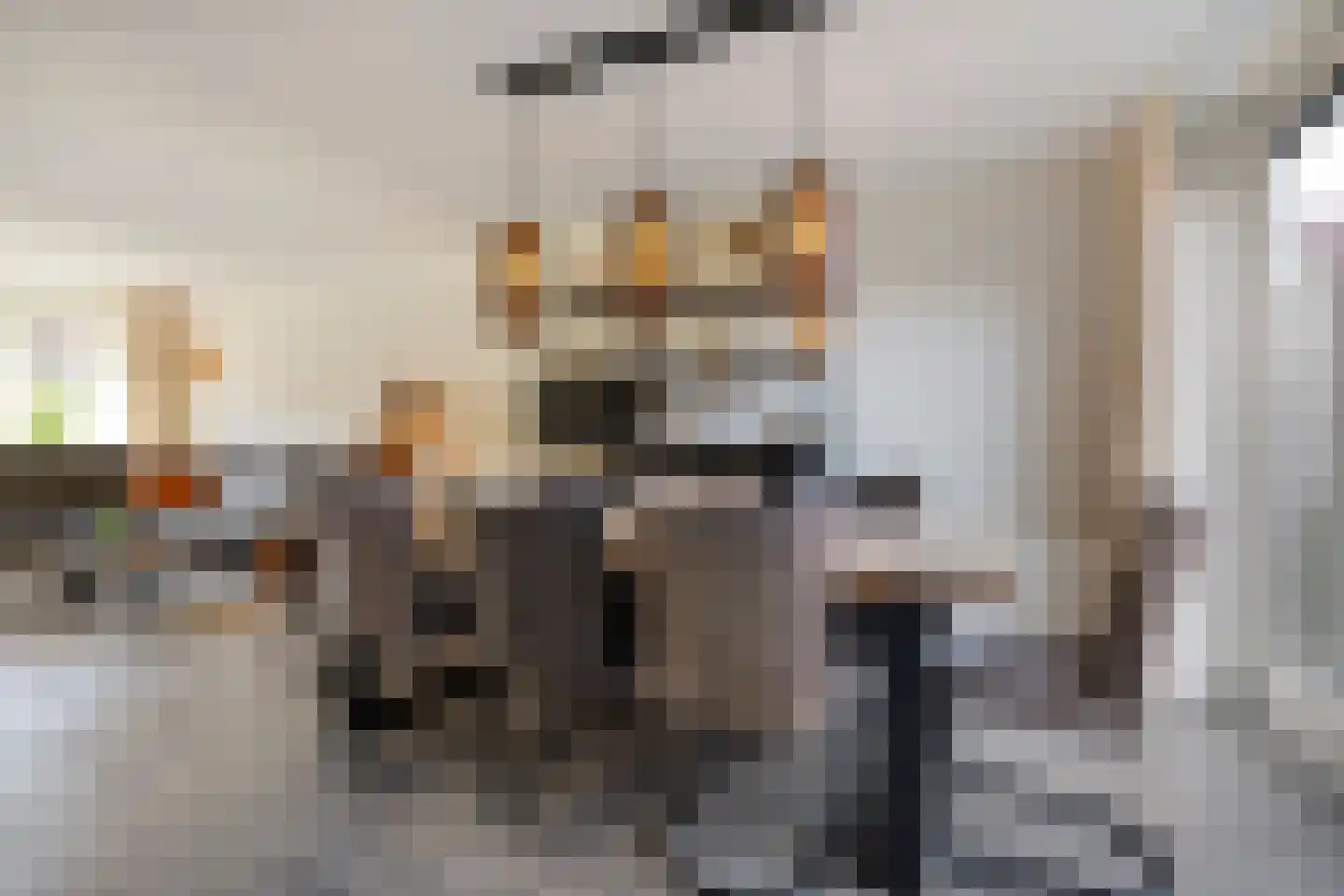 Otello 6 Kampen thumbnail 10
