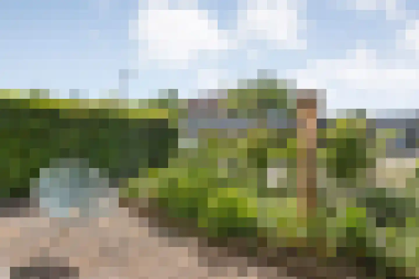 Otello 6 Kampen thumbnail 41