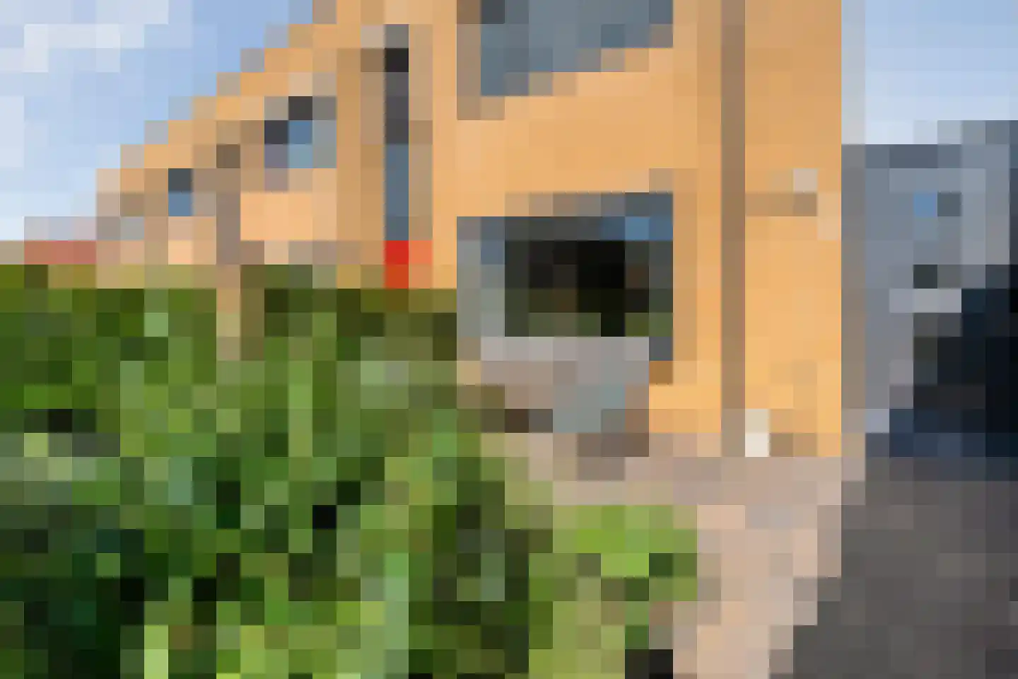 Otello 6 Kampen thumbnail 44
