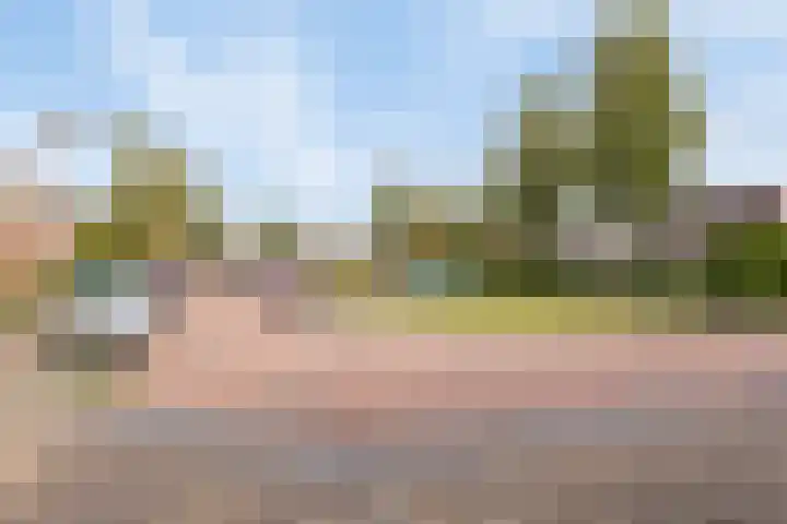 Otello 75 Eindhoven thumbnail 9