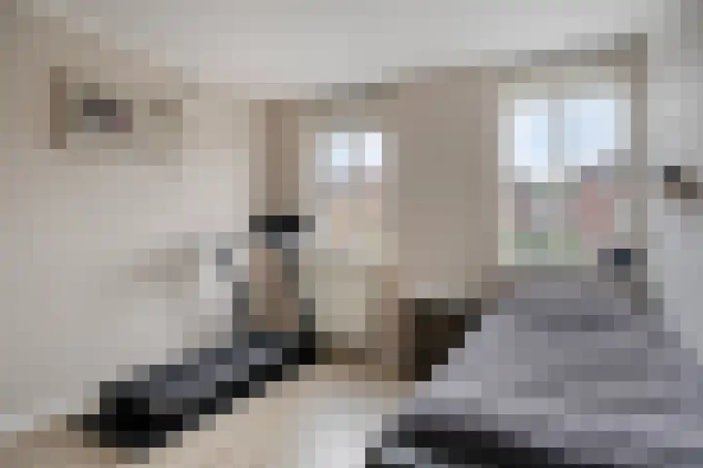 Otello 81 Eindhoven thumbnail 20