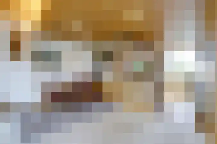 Otellopad 24 Amersfoort thumbnail 10