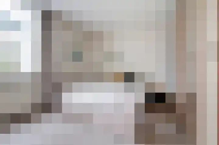 Otellopad 24 Amersfoort thumbnail 15