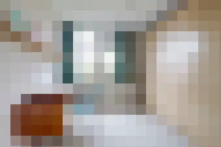 Otellopad 24 Amersfoort thumbnail 19