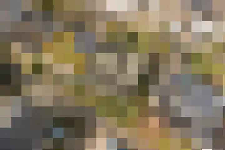 Otellopad 24 Amersfoort thumbnail 32