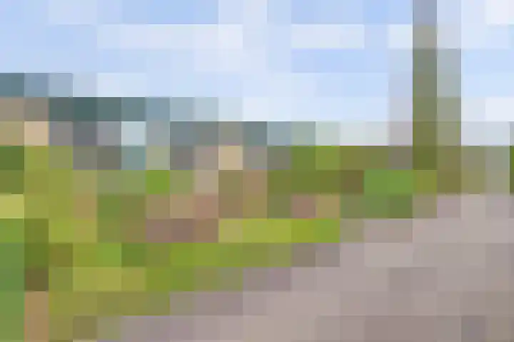 Otellopad 24 Amersfoort thumbnail 33