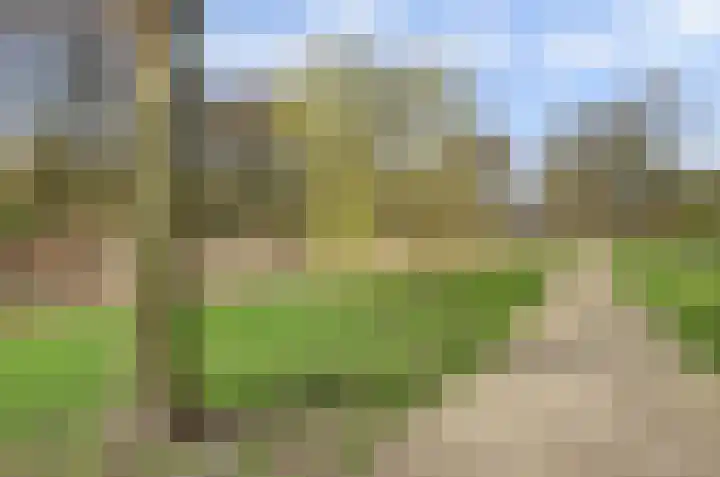 Otellopad 24 Amersfoort thumbnail 36