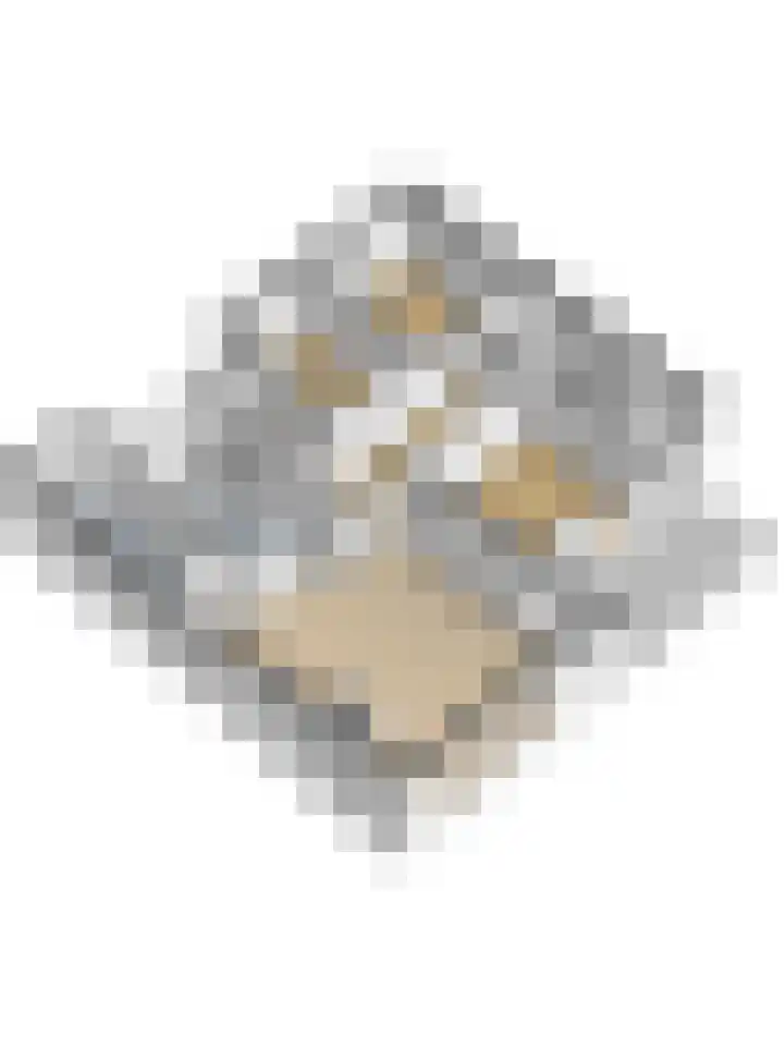 Otellopad 24 Amersfoort thumbnail 42