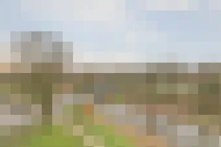 Otelloplaats 58 Amersfoort thumbnail 9