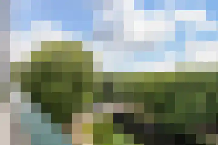 Otelloplaats 62 Amersfoort thumbnail 13