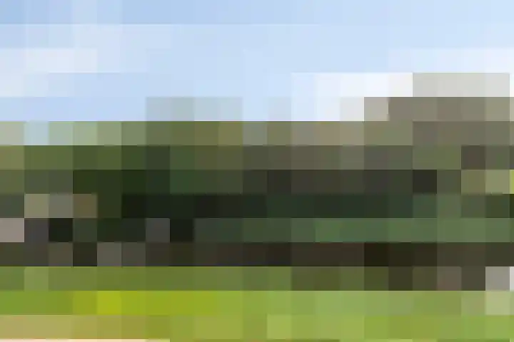 Otelloplaats 86 Amersfoort thumbnail 13