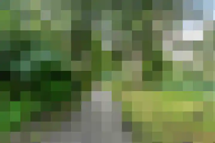 Otelloplaats 86 Amersfoort thumbnail 36