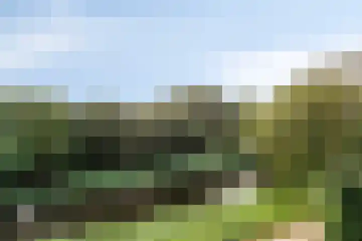 Otelloplaats 86 Amersfoort thumbnail 5