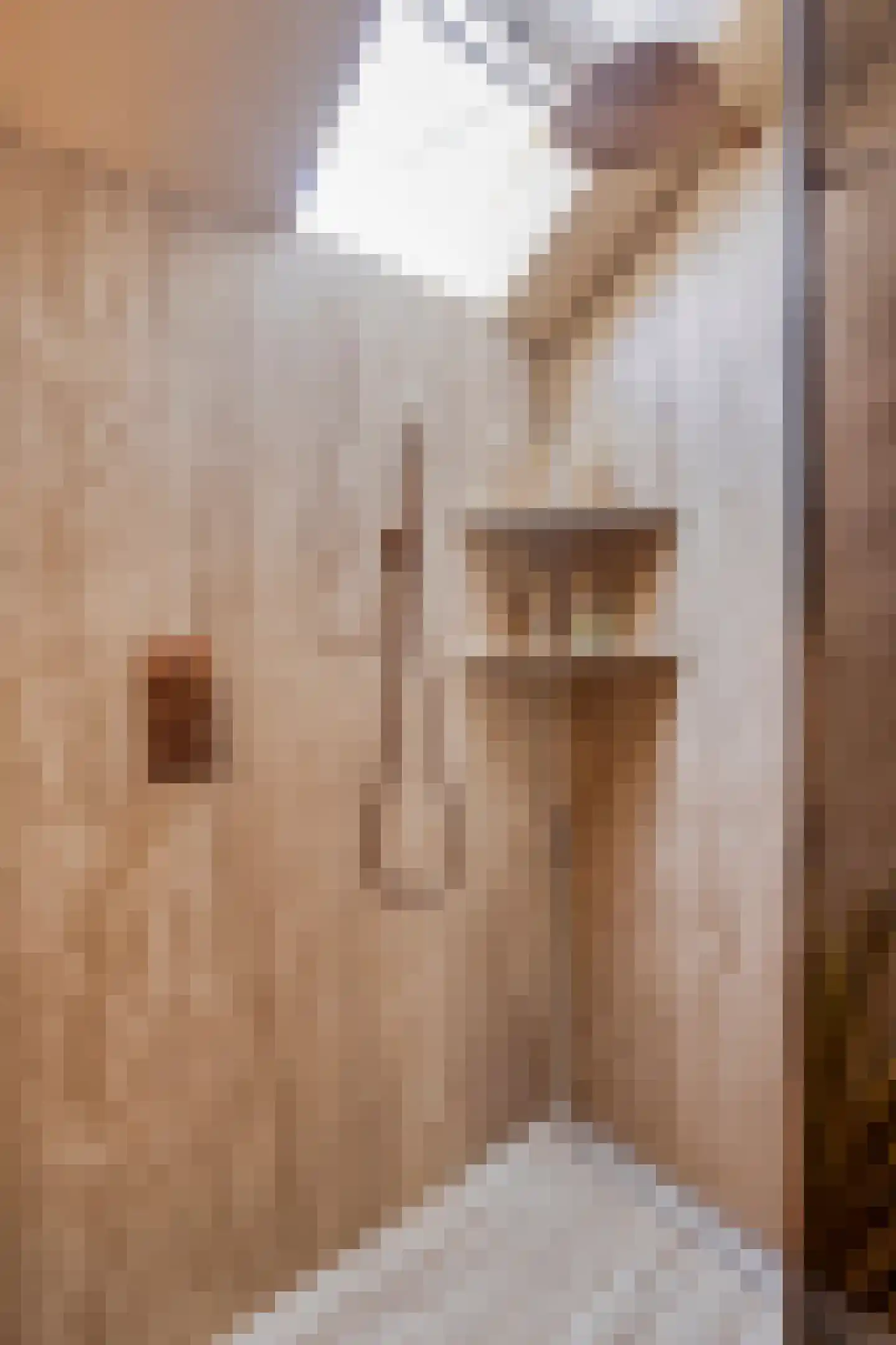 Otellostraat 10 Spijkenisse thumbnail 22