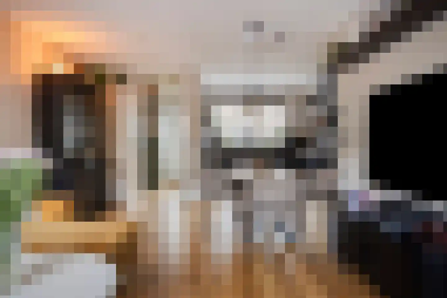 Otellostraat 10 Spijkenisse thumbnail 7
