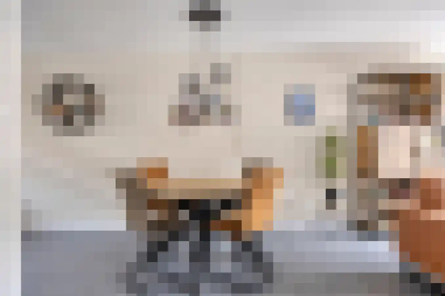 Otellostraat 11 Spijkenisse thumbnail 7