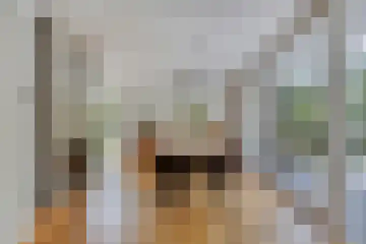 Oterlekerweg 2 B Stompetoren thumbnail 10