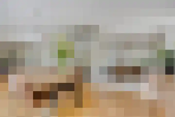 Oterlekerweg 2 B Stompetoren thumbnail 11