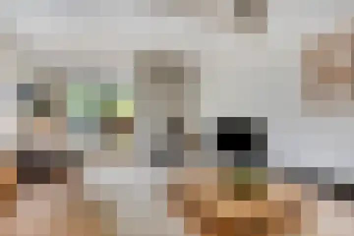 Oterlekerweg 2 B Stompetoren thumbnail 14