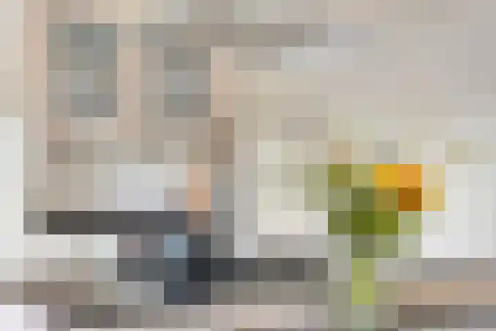 Oterlekerweg 2 B Stompetoren thumbnail 18