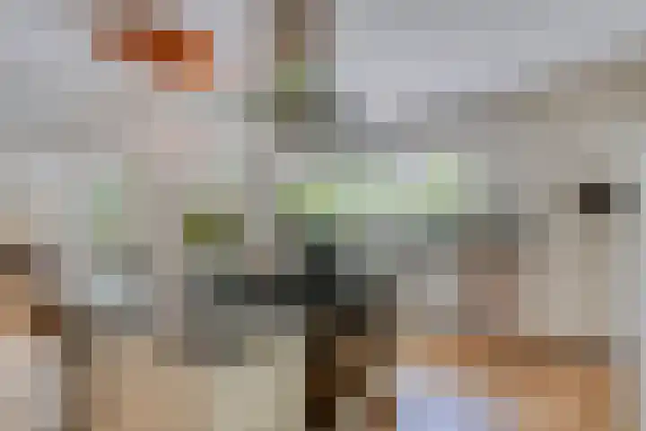 Oterlekerweg 2 B Stompetoren thumbnail 20