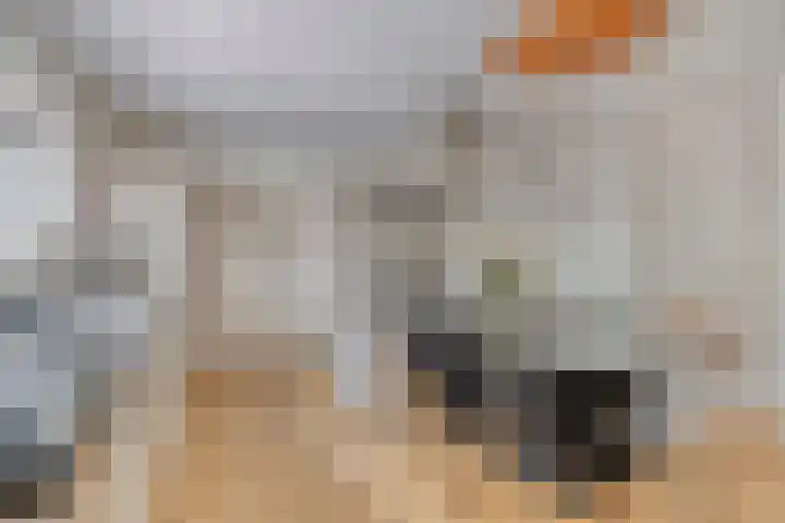 Oterlekerweg 2 B Stompetoren thumbnail 21
