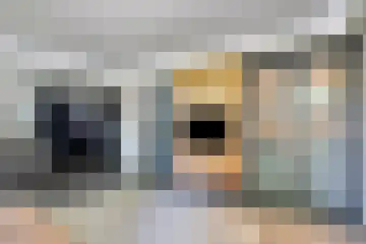 Oterlekerweg 2 B Stompetoren thumbnail 25