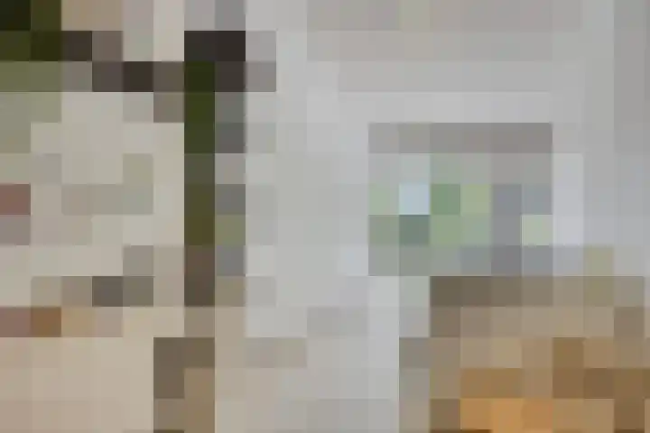 Oterlekerweg 2 B Stompetoren thumbnail 41