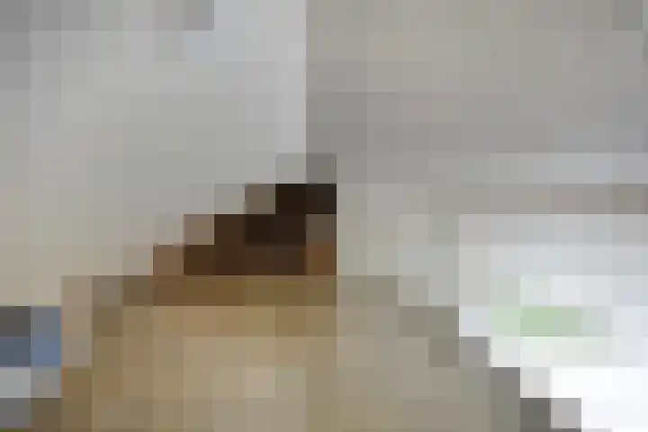 Oterlekerweg 2 B Stompetoren thumbnail 45