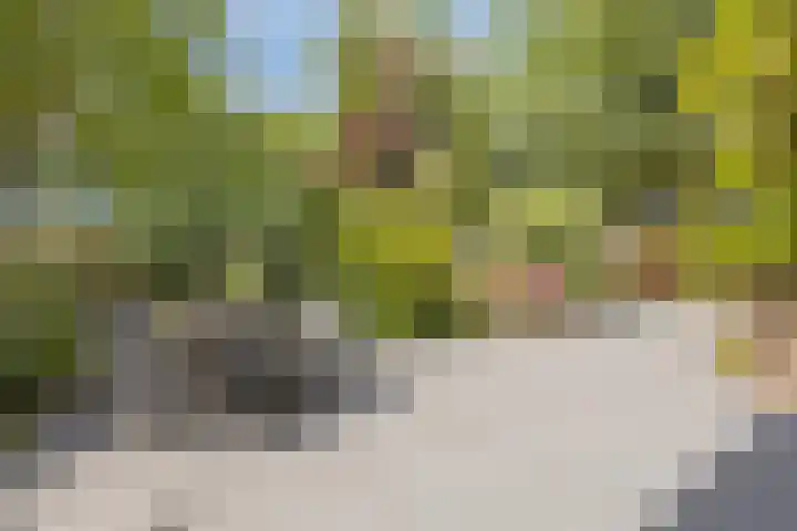 Oterlekerweg 2 B Stompetoren thumbnail 49